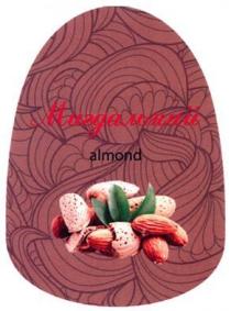 almond, мигдальний