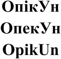 опікун, опекун, опік, опек, ун, opikun, opik, un