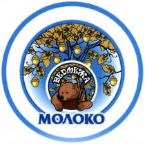 ведмежа молоко, ведмежа, молоко