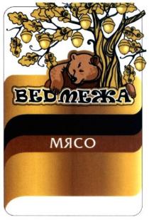 ведмежа мясо, ведмежа, мясо