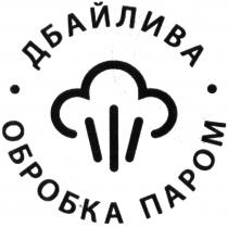 дбайлива обробка паром, дбайлива, обробка, паром