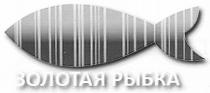 золотая рыбка, золотая, рыбка
