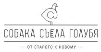 собака съела голубя, собака, съела, голубя, ..от старого к новому..., старого, новому, с, а, c, a, @