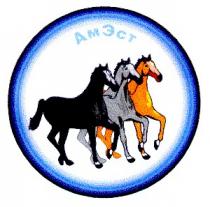 ам эст