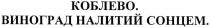 коблево. виноград налитий сонцем., коблево, виноград, налитий, сонцем