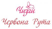 чизай, червона рута, червона, рута
