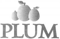 plum