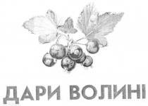 дари волині, дари, волині