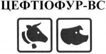 цефтіофур-вс, цефтіофур, вс