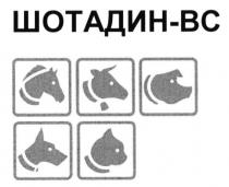 шотадин-вс, шотадин, вс