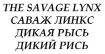 the savage lynx, savage, lynx, саваж линкс, саваж, линкс, дикая рысь, дикая, рысь, дикий рись, дикий, рись