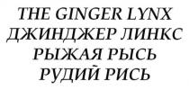 джинджер линкс, джинджер, линкс, рыжая рысь, рыжая, рысь, рудий рись, рудий, рись, the ginger lynx, ginger, lynx
