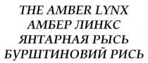 the amber lynx, amber, lynx, амбер линкс, амбер, линкс, янтарная рысь, янтарная, рысь, бурштиновий рись, бурштиновий, рись