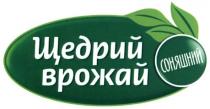 щедрий врожай соняшний, щедрий, врожай, соняшний