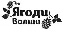 ягоди волині, ягоди, волині