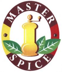 master spice, master, spice