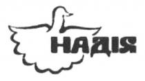 надія