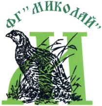 фг миколай, фг, миколай, м
