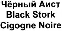чёрный аист, чёрный, аист, черный, black stork, black, stork, cigogne noire, cigogne, noire