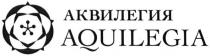 аквилегия, aquilegia