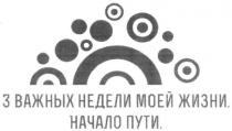 3 важных недели моей жизни, важных, недели, жизни, начало пути, начало, пути