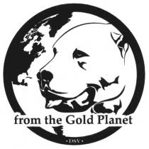 from the gold planet, from, gold, planet, dsv