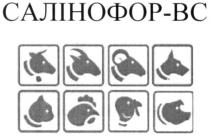салінофор-вс, салінофор, вс