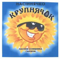 насіннячко, крупнячок, насіння соняшника, насіння, соняшника, смажене