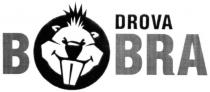drova bobra, drova, bobra