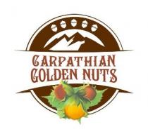 carpathian golden nuts, carpathian, golden, nuts