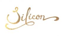 silicon