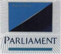 parliament, aqua blue, aqua, blue, original recessed filter, original, recessed, filter