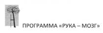 программа рука-мозг, программа, рука, мозг