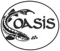 oasis