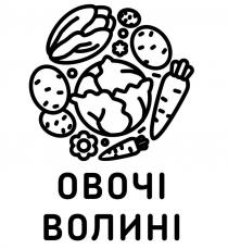 овочі волині, овочі, волині