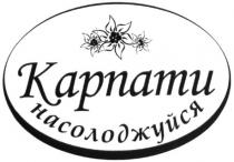 карпати насолоджуйся, карпати, насолоджуйся