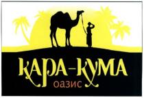 кара-кума, кара, кума, оазис