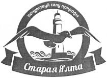 старая ялта, старая, ялта, почувствуй силу природы, почувствуй, силу, природы