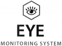 eye, monitoring system, monitoring, system