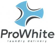 prowhite, laundry delivery, laundry, delivery