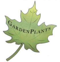 garden plants, garden, plants