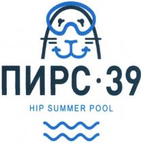 пирс-39, пирс, 39, hip summer pool, hip, summer, pool