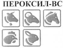 пероксил-вс, пероксил, вс
