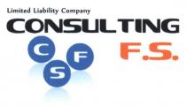 limited liability company, limited, liability, company, consulting, csf, f.s., fs, cfs