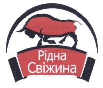 рідна свіжина, рідна, свіжина