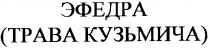 эфедра трава кузьмича, эфедра