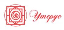 утерус