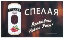 спелая, годжи, яскравого нового року, яскравого, нового, року