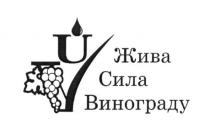 uv, жива сила винограду, жива, сила, винограду