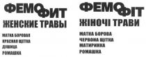 фемофит, фемофіт, жіночі трави, жіночі, трави, женские травы, женские, травы, матка боровая, матка, матка боровая, матка, боровая, матка, боровая, красная щетка, красная, щетка, душица, ромашка, матка борова, борова, червона щітка, червона, щітка, матиринка, ромашка